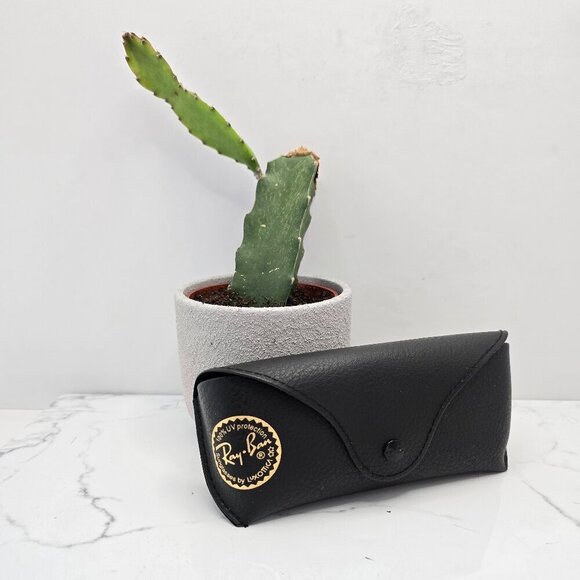 Ray-Ban | black soft leather eyeglass case | unisex - Picture 1 of 6